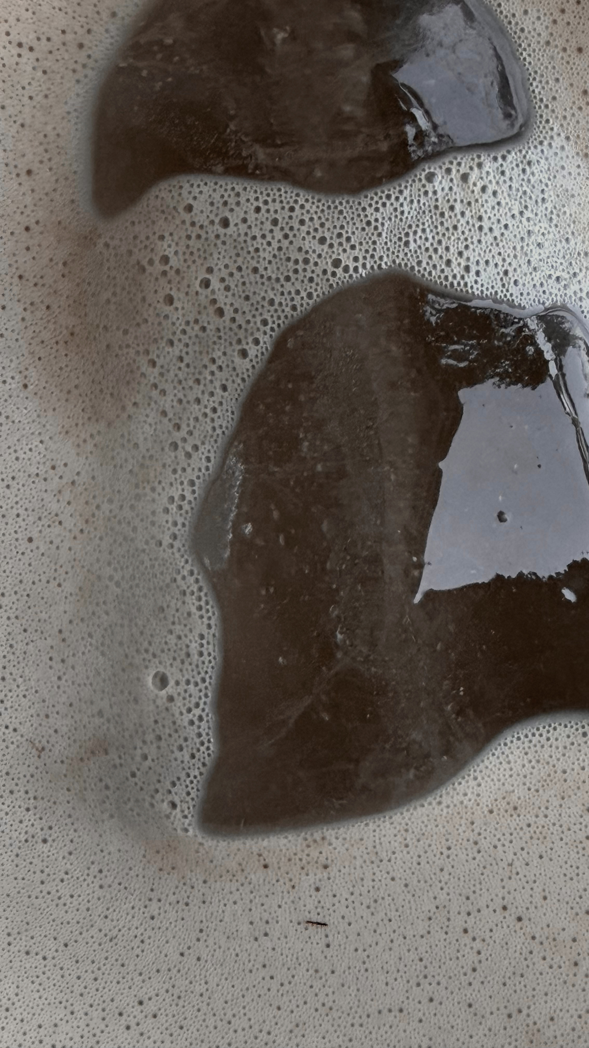 Hojicha Latte Made Simple