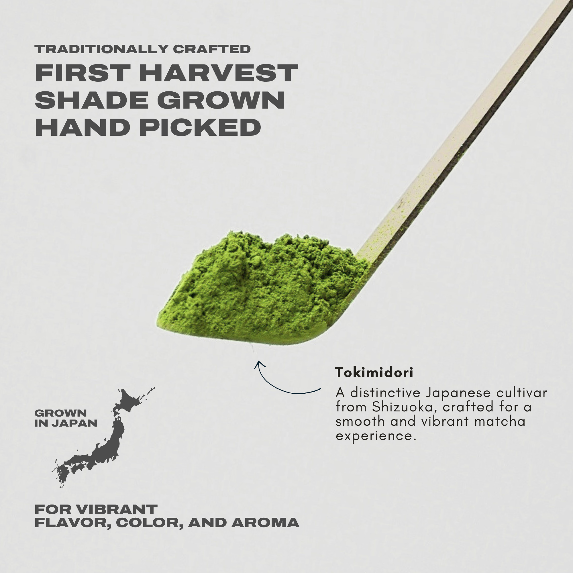 Premium Japanese Matcha 30g