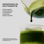 Ceremonial Japanese Matcha 80g